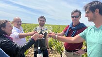 Burgundy Day Trip From Paris Including 8 Tastings and Lunch