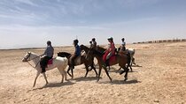 One Hour Horseback Riding Journey Through the Desert - Marsa Alam