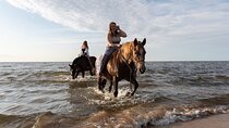 Horse Riding Tour Two Hours Sun & Sea With Transfer - Hurghada