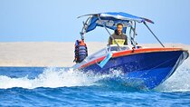 Swim with Dolphins Semi-Private Speedboat with Transfer- Hurghada