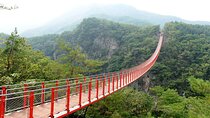 DMZ and Mt. Gamak Red Suspension Bridge Tour from Seoul