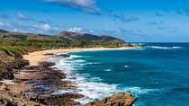 Oahu Highlights Private Tour: Nature, Views & Turtles in 6 Hours