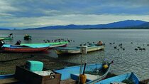 Venado Island, island cultural tour and floating restaurant