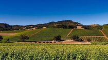 San Francisco - Sonoma Napa Valley: Premium Chauffeur Transfer