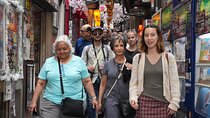 Tokyo Shinjuku: History, Culture & Hidden Alleys Walking Tour