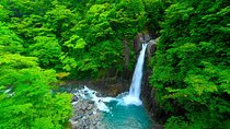 From Nagoya: Hidden Gems of the Kiso Valley (summer only)