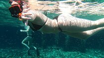 Private Snorkeling from Nusa Penida 