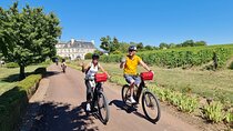 Private Amboise E Bike Tour Clos Luce