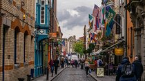 From Dublin: Private Day Trip to Belfast, Giant’s Causeway & More