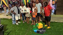 Experience Jamaica Private Tour with Airport Transfer