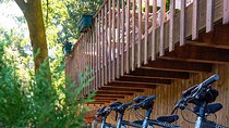  E Bike and Mountain Bike Rentals in Lavoeira