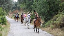 Bodrum Horse Safari Adventure