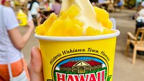 Private Half-Day Circle Island Highlights Tour in Oahu