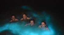 Glistening Waters Luminous Lagoon Tour from Ocho Rios