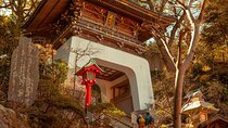 Enoshima Island Full-Day Private Tour from Tokyo (Customizable)