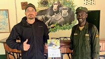 5- Day Uganda Gorillas, Chimpanzees And Queen Elizabeth NP