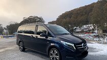 Private Alpine Day Tour from Melbourne to Mount Buller
