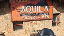 Private Tour of the Big Five Safari Near Cape Town 