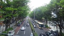 Omotesando and Shibuya Art and Culture Tour
