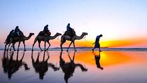 Tangier Package: Camel Ride, Cap Spartel, Hercules Caves & Dining