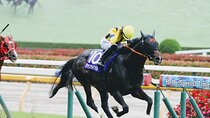 Horse Racing Tour with Local Fans in Tokyo