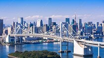 Private Day Tour in Tokyo with Government-Licensed Guide