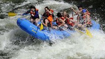 Full-Day White Water Rafting Adventure on the Kelani River