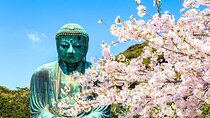 From Tokyo: Kamakura and Enoshima One Day Tour 