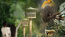 Green Planet Tickets Only