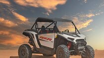 Desert Safari with BBQ Dinner and Dune Buggy Ride