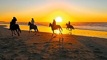 Golden Hour - Horse Riding Sea & Desert Sharm El Sheikh 