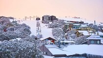 Melbourne to Mt Buller Snow Day Trip – Skiing & Winter Fun