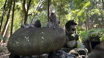 Ubud Harmony Tour - private tour