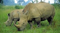 12 Day South Africa Overland Tour from Cape Town to Johannesburg