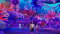 SeaWorld Admission in Abu Dhabi