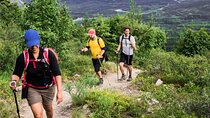 Half Day Hiking Tour in the Drakensberg Mountains