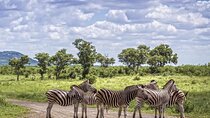 Half Day Tala Game Reserve Phezulu Safari & Market