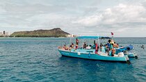 Snorkeling with Sea Turtles in Waikiki Hawaii Boat Tour