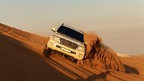 Experience Red Dune Safari Tour with BBQ Dinner and Live Shows