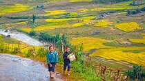 Northern Vietnam Discovery: 7-Day Journey to the Top Highlights