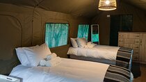 Johannesburg Victoria Falls Shared 7-Day Trip Experience
