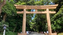 Tokyo Pop Culture & Tradition Tour: Meiji Shrine to Harajuku