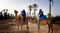 2 Hours Camel Ride through the Forest & River W/Transfer – Agadir