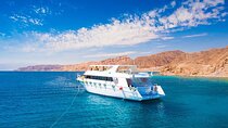 Snorkeling and Dolphin Yacht Tour in 3 islands with Lunch
