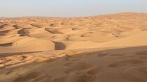 Evening Desert Safari 