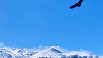 Andes Mountains Tour From Santiago with Appetizer
