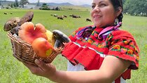 Taste and Tradition Acaxochitlán Culinary Tour from Mexico City