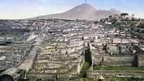 Full Day Private Pompei tour with stop at local winery for lunch 