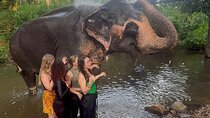 Essential Sri Lanka Tour (7 days) With Cultural Experience
