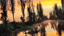 Xochimilco Ecotourism at Dawn in Canoe and Organic Breakfast 